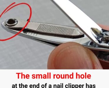 Why That Small Round Hole on Your Nail Clipper Matters – Especially for Older Adults