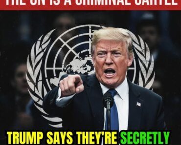 “THE UN IS A CRIMINAL CARTEL” “THE UN IS A CRIMINAL CARTEL”