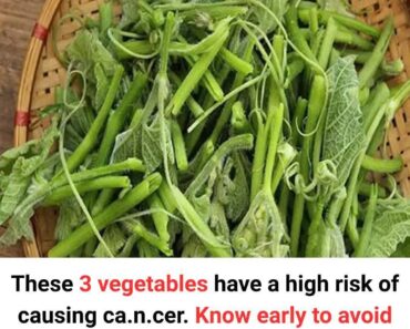 3 Vegetables That Support Cancer Prevention 3 Vegetables That Support Cancer Prevention