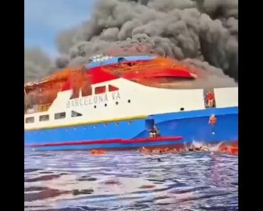 “The ship carrying 280 passengers suddenly caught fire in the middle of the sea.  Read more(Link in first comment )