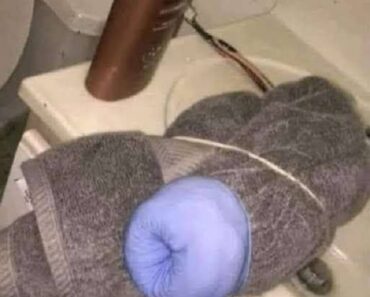 I saw this in my son’s bathroom. What is this?…See more I saw this in my son’s bathroom. What is this?…See more