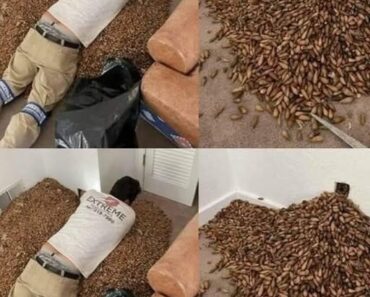 man smells a strong smell man smells a strong smell