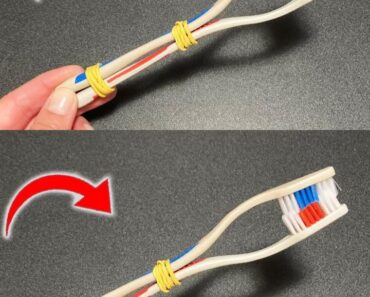 Don’t throw away old toothbrushes. Tying two together can solve many problems Don’t throw away old toothbrushes. Tying two together can solve many problems
