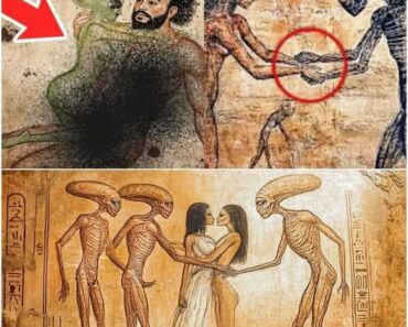 HT15. The BlBLE says the age difference between couples is a…See more below HT15. The BlBLE says the age difference between couples is a…See more below