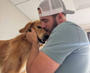 What Happened to Teddy?