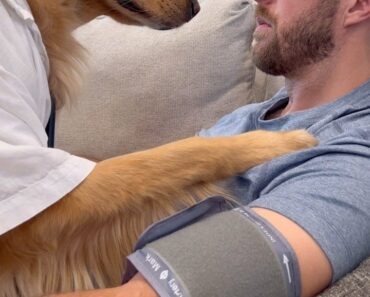 “Last night’s sleepover turned into an eviction notice… courtesy of Teddy ❤️