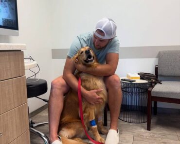 SAD NEWS: 30 Minutes Ago – Teddy Misses Everyone So Much