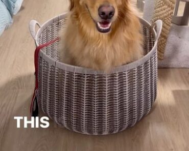 If it fits, I sits ✨