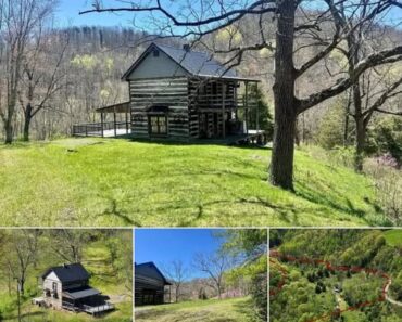 Charming Cabin for Sale o Charming Cabin for Sale o