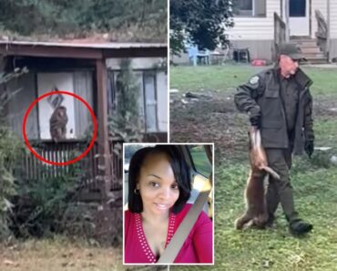 Mississippi Mom Protects Her Children After Mississippi Mom Protects Her Children After