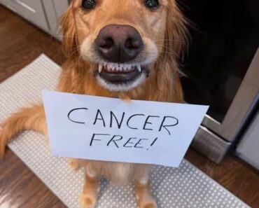CANCER FREE!
