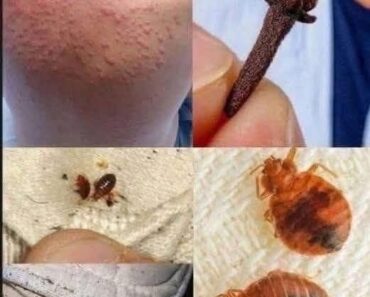 Young woman dies at the hands of her…See moreIt was Young woman dies at the hands of her…See moreIt was