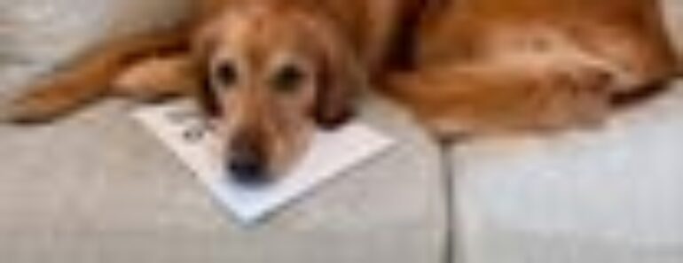 Do you all miss Teddy?