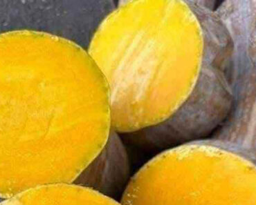 Doctors reveal that eating pumpkin causes …