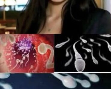 !! DOCTORS reveal that SWALLOWING !! DOCTORS reveal that SWALLOWING