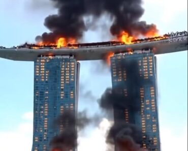 HT13. BREAKING NEWS: Just hours ago, a tremendous fire broke out in…See more