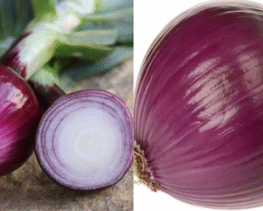 Doctors Can’t Believe What Eating Onions Daily Does to Your Body