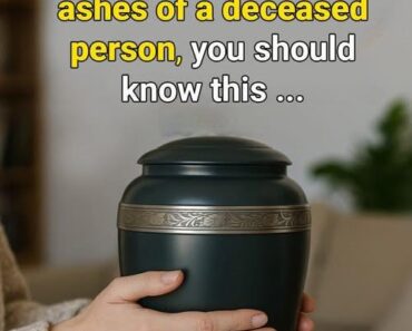 After receiving the ashes of a deceased person, you should know this After receiving the ashes of a deceased person, you should know this