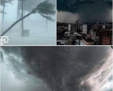 Urgent 3! Extremely danger Urgent 3! Extremely danger