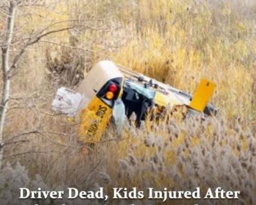 A school bus carrying 32 children crashed A school bus carrying 32 children crashed