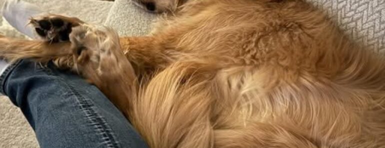 ⬇️ Teddy Is Sick…