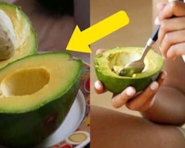 Doctors Reveal That Eating Avocados Causes Your Brain …. Doctors Reveal That Eating Avocados Causes Your Brain ….