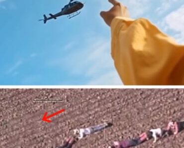 How 12 Kids and One Brave Dog Turned Into Real-Life Crime Stoppers – How 12 Kids and One Brave Dog Turned Into Real-Life Crime Stoppers –