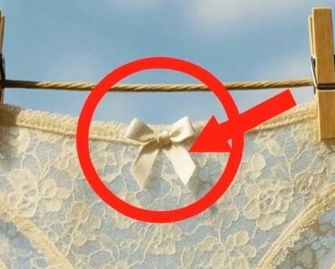 Little Details on Women’s Underwear Everyone Notices but Few Understand